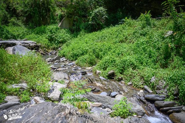 ▲▼「台東延平蝴蝶谷秘境」免門票天然戲水池，賞蝴蝶泡腳，享受魚吃腳皮好放鬆！（圖／部落客滿分提供）