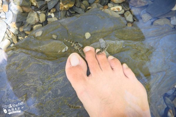 ▲▼「台東延平蝴蝶谷秘境」免門票天然戲水池，賞蝴蝶泡腳，享受魚吃腳皮好放鬆！（圖／部落客滿分提供）