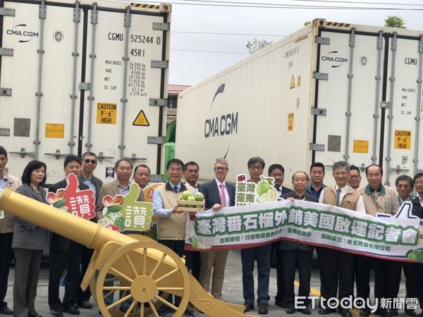 ▲台南芒果與芭樂成功打入歐盟市場，市府與中央通力合作拓展外銷新通路。（記者林東良翻攝，下同）