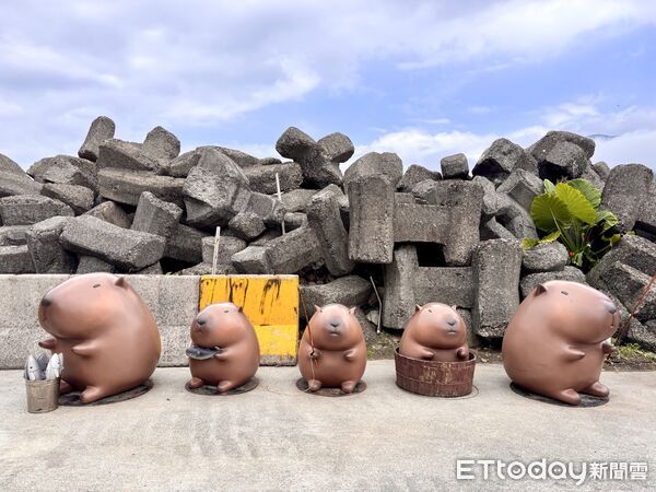 ▲深澳漁港,深澳岬角,象鼻岩（水豚岩）。（圖／記者彭懷玉攝）