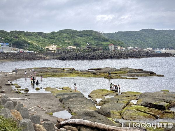 ▲基隆望海巷漁港景觀橋,綠藻佈滿海蝕平台及帶狀岩礁海岸。（圖／記者彭懷玉攝）