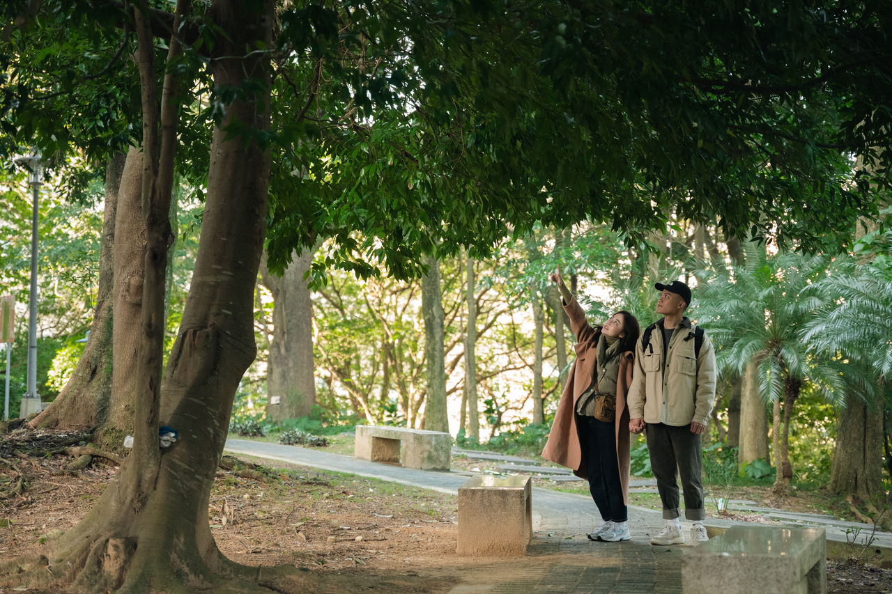 慢活正夯！新北景觀處推城市覓徑　輕鬆漫步公園小山徑