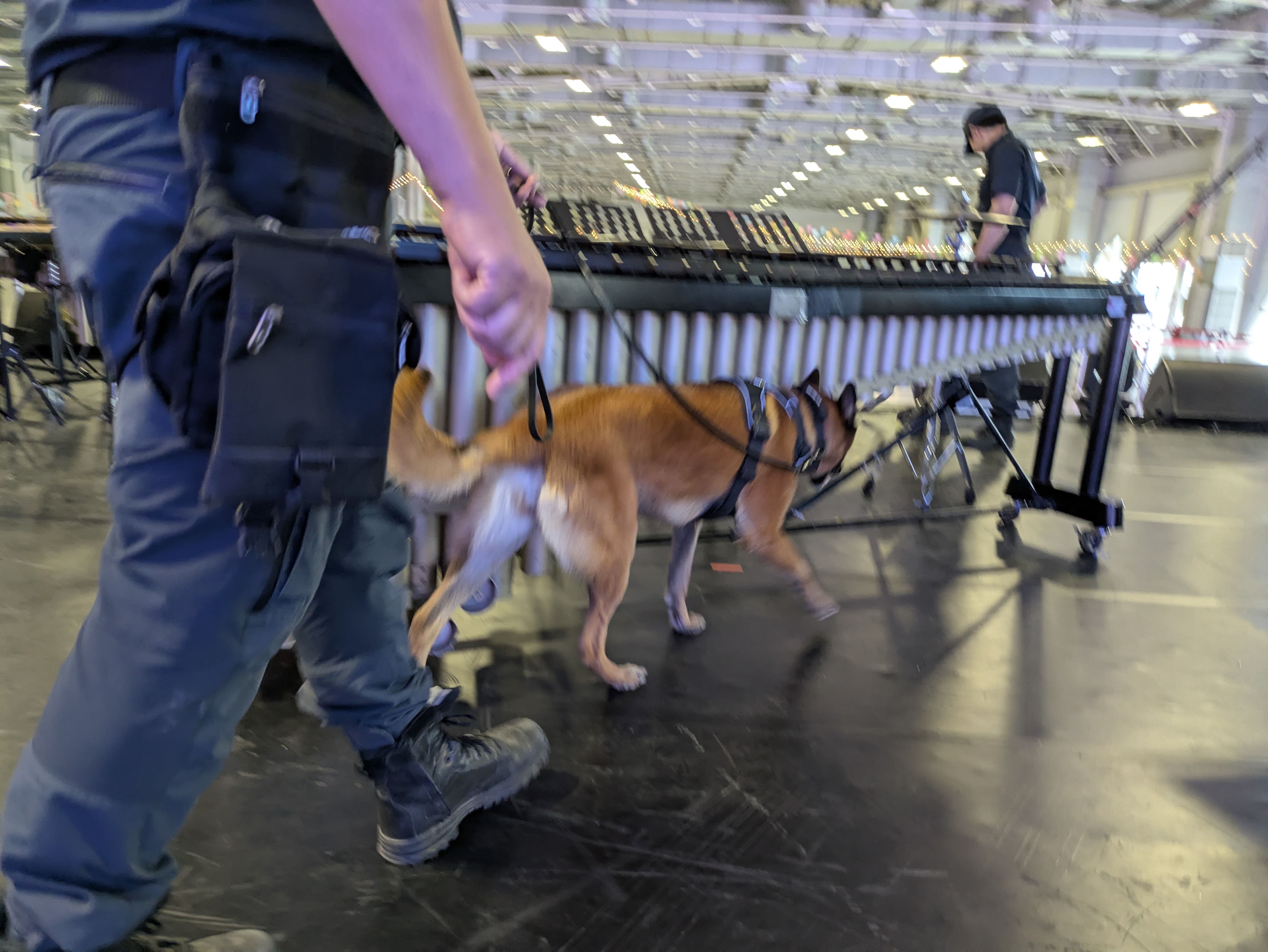 ▲新北動保處助警犬維持最佳戰力。（圖／新北市動保處提供）