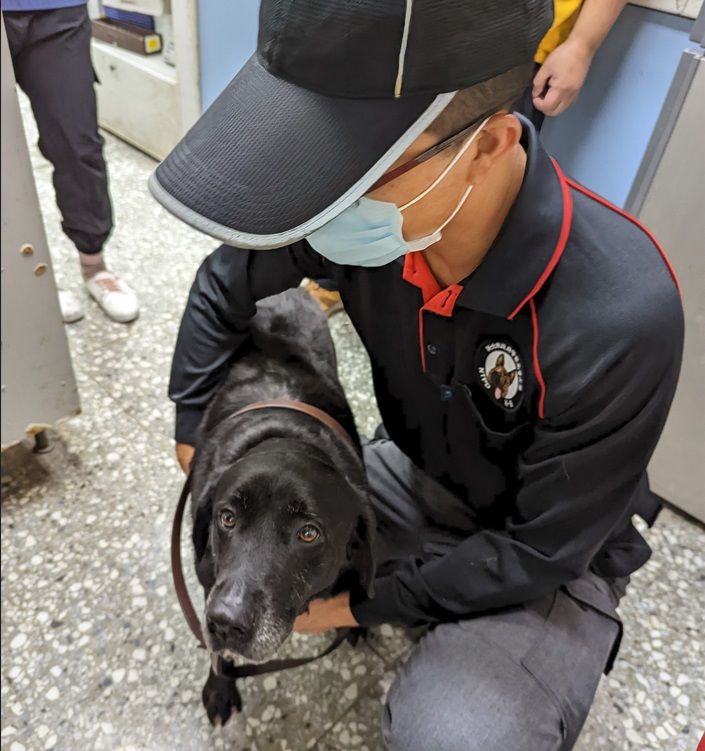 ▲新北動保處助警犬維持最佳戰力。（圖／新北市動保處提供）