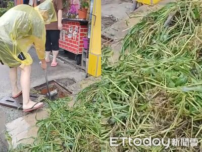 高雄大樹暴雨淹慘…水溝挖出600kg雜草 民眾傻眼:多久沒清了