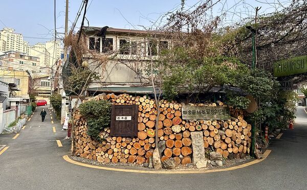 ▲▼韓國釜山南川美食「南川寶城綠茶冰」，三十年綠茶商打造夢幻紫藤棚架竹林茶寮，4000韓幣爽吃紅豆綠茶！（圖／部落客小虎提供）