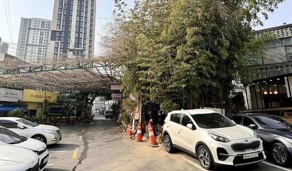 ▲▼韓國釜山南川美食「南川寶城綠茶冰」，三十年綠茶商打造夢幻紫藤棚架竹林茶寮，4000韓幣爽吃紅豆綠茶！（圖／部落客小虎提供）