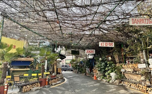 ▲▼韓國釜山南川美食「南川寶城綠茶冰」，三十年綠茶商打造夢幻紫藤棚架竹林茶寮，4000韓幣爽吃紅豆綠茶！（圖／部落客小虎提供）