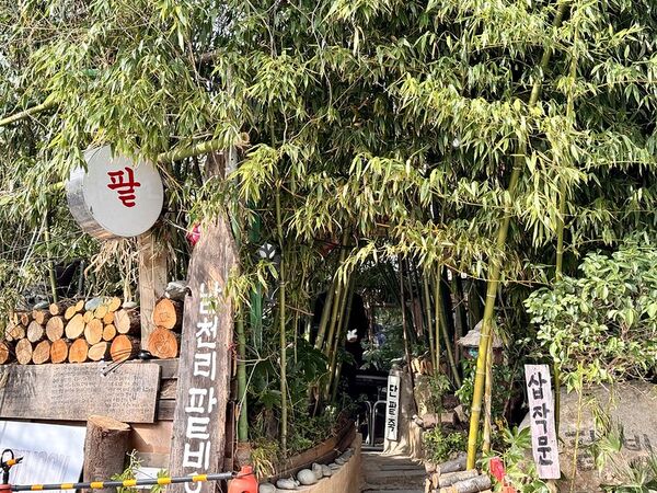 ▲▼韓國釜山南川美食「南川寶城綠茶冰」，三十年綠茶商打造夢幻紫藤棚架竹林茶寮，4000韓幣爽吃紅豆綠茶！（圖／部落客小虎提供）