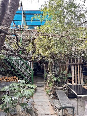 ▲▼韓國釜山南川美食「南川寶城綠茶冰」，三十年綠茶商打造夢幻紫藤棚架竹林茶寮，4000韓幣爽吃紅豆綠茶！（圖／部落客小虎提供）