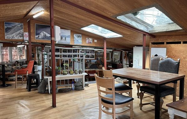 ▲▼韓國釜山南川美食「南川寶城綠茶冰」，三十年綠茶商打造夢幻紫藤棚架竹林茶寮，4000韓幣爽吃紅豆綠茶！（圖／部落客小虎提供）