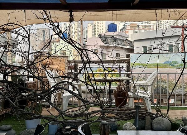 ▲▼韓國釜山南川美食「南川寶城綠茶冰」，三十年綠茶商打造夢幻紫藤棚架竹林茶寮，4000韓幣爽吃紅豆綠茶！（圖／部落客小虎提供）