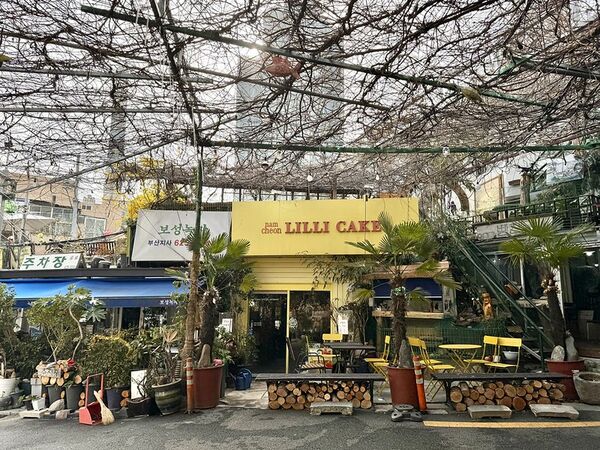 ▲▼韓國釜山南川美食「南川寶城綠茶冰」，三十年綠茶商打造夢幻紫藤棚架竹林茶寮，4000韓幣爽吃紅豆綠茶！（圖／部落客小虎提供）