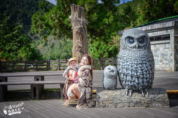 ▲▼「宜蘭太平山雲海咖啡館」群山環繞的森林玻璃屋，海拔2000公尺的約會秘境！（圖／部落客滿分提供）