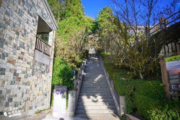 ▲▼「宜蘭太平山雲海咖啡館」群山環繞的森林玻璃屋，海拔2000公尺的約會秘境！（圖／部落客滿分提供）