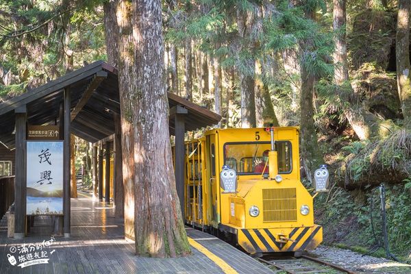 ▲▼「宜蘭太平山雲海咖啡館」群山環繞的森林玻璃屋，海拔2000公尺的約會秘境！（圖／部落客滿分提供）