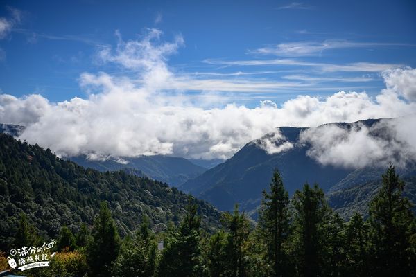 ▲▼「宜蘭太平山雲海咖啡館」群山環繞的森林玻璃屋，海拔2000公尺的約會秘境！（圖／部落客滿分提供）