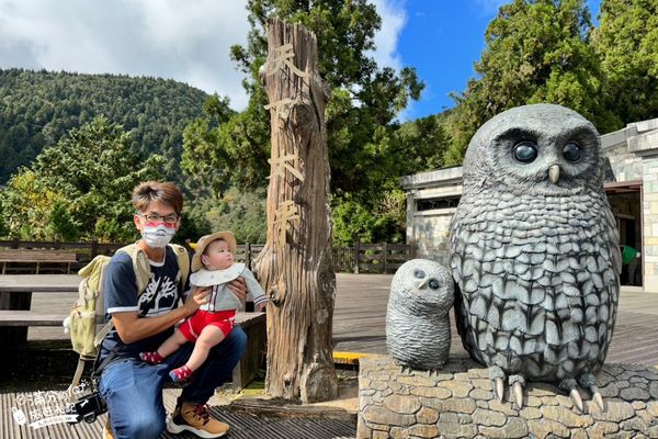 ▲▼「宜蘭太平山雲海咖啡館」群山環繞的森林玻璃屋，海拔2000公尺的約會秘境！（圖／部落客滿分提供）