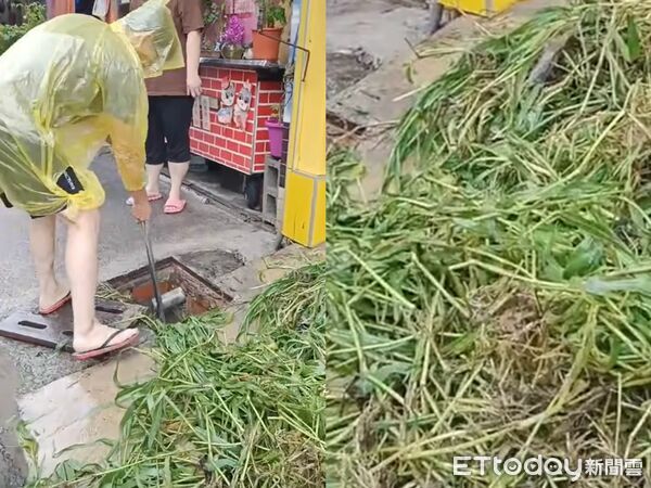 ▲▼暴雨淹慘，水溝竟清出600公斤雜草。（圖／翻攝古厝紅茶冰FB粉絲專頁）