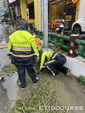 ▲▼暴雨淹慘，水溝竟清出600公斤雜草。（圖／記者賴文萱翻攝）