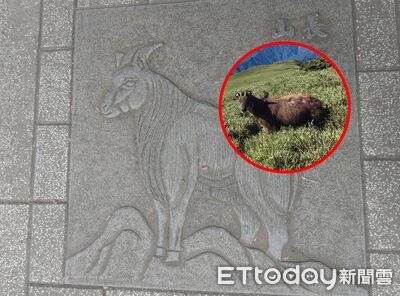 雲豹斑點不像雲「長鬃山羊變舶來品」　總統府周邊動物圖騰凸槌