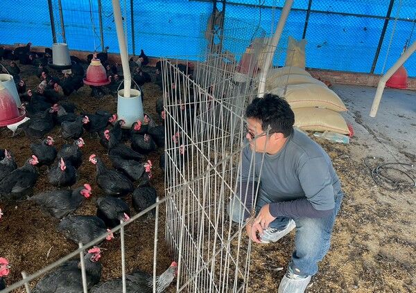 ▲研發中藥代替抗生素桃園洺鈞畜產奪綠色願景獎