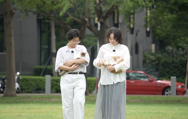 ▲▼全盲貓奇蹟重生！「天使姐姐」堅持收編。（圖／台灣動物緊急救援小組(ARTT)提供）