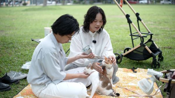 ▲▼全盲貓奇蹟重生！「天使姐姐」堅持收編。（圖／台灣動物緊急救援小組(ARTT)提供）