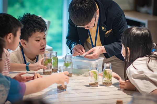 ▲淡水將捷金鬱金香酒店祭出「仲夏蟲鳴．探險營住房專案」，凡入住即贈送一位兒童活動參加「仲夏蟲鳴探險營」。（圖／業者提供）