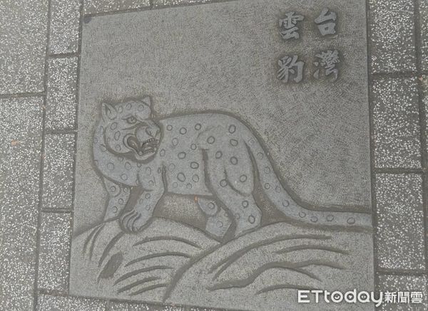 ▲野生動物生態圖騰。（圖／記者楊晨東翻攝）