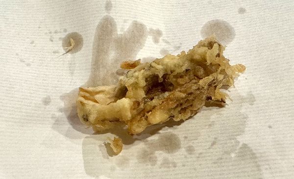 ▲▼天菊。（圖／部落客小虎食夢網授權提供）