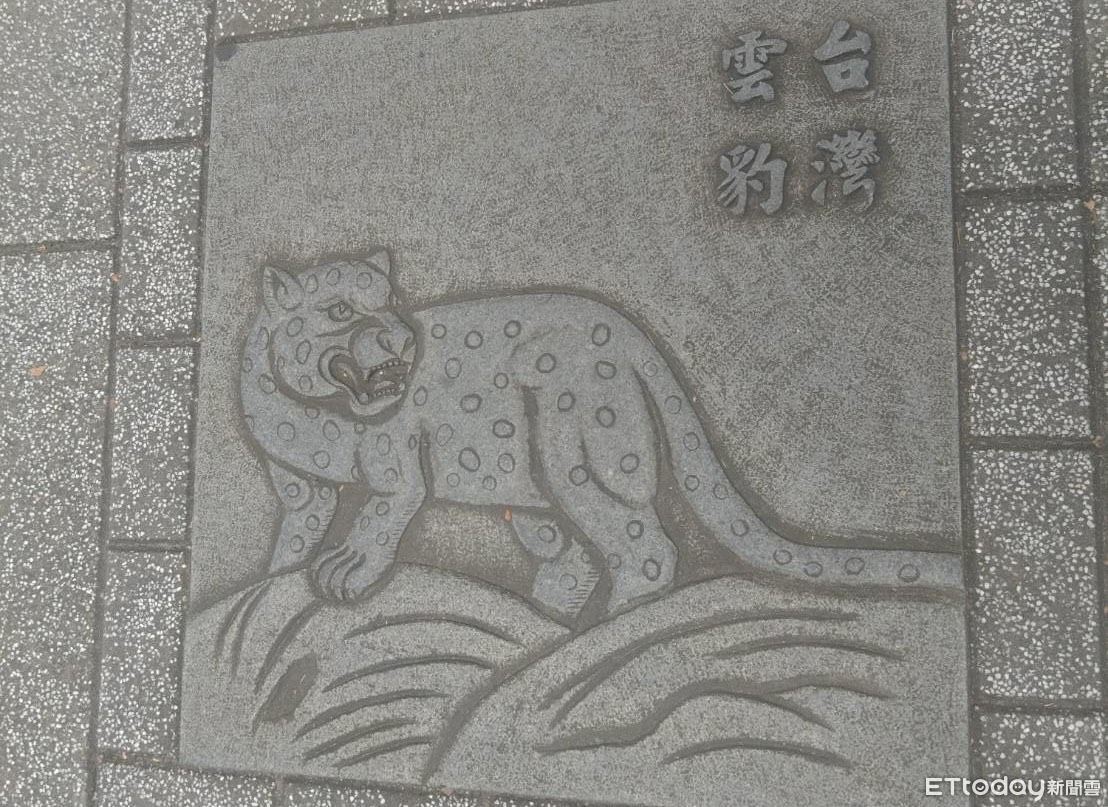 雲豹斑點不像雲「長鬃山羊變舶來品」　總統府周邊動物圖騰凸槌