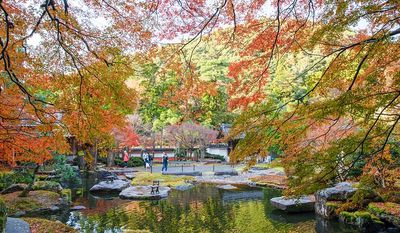 鳥取「紅葉秘境」在地人也難得一見！