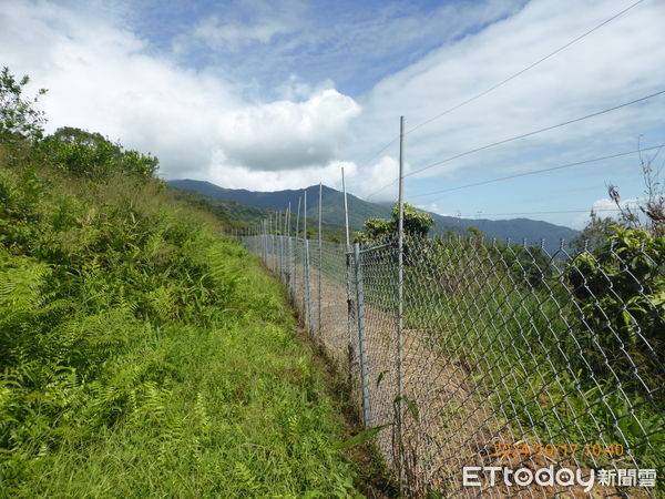 ▲▼電牧器電圍網是目前預防野生獸類破壞農作物最有效的設備，不會危害性命，對人及動物都安全。（圖／花蓮縣政府提供，下同）