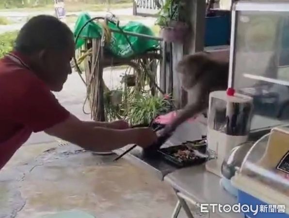 ▲▼             。（圖／記者李陳信得攝）