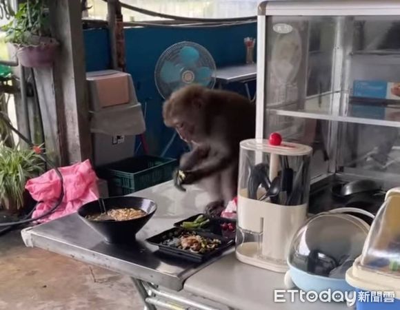 ▲▼             。（圖／記者李陳信得攝）