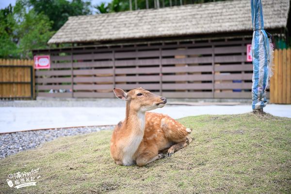 ▲▼長埤湖精靈村。（圖／部落客滿分的旅遊札記授權提供）