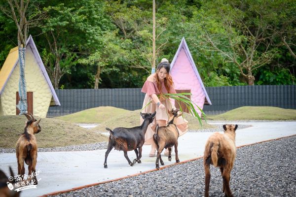 ▲▼長埤湖精靈村。（圖／部落客滿分的旅遊札記授權提供）