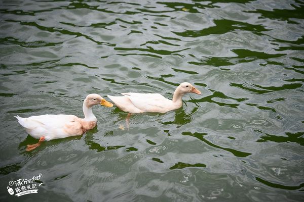 ▲▼長埤湖精靈村。（圖／部落客滿分的旅遊札記授權提供）