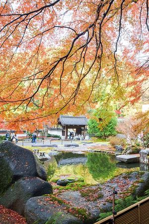 ▲▼啐啄園。（圖／部落客小虎食夢網授權提供）