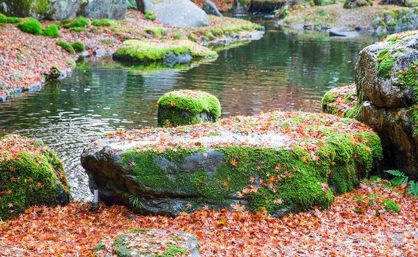 ▲▼啐啄園。（圖／部落客小虎食夢網授權提供）