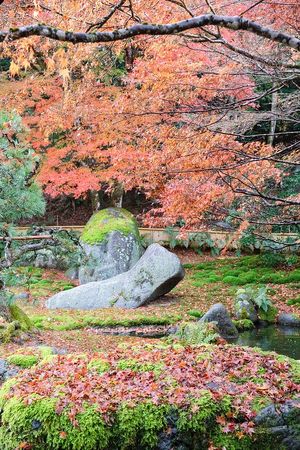 ▲▼啐啄園。（圖／部落客小虎食夢網授權提供）