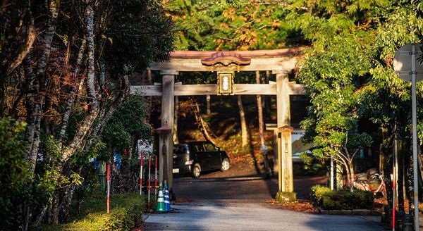 ▲▼啐啄園。（圖／部落客小虎食夢網授權提供）