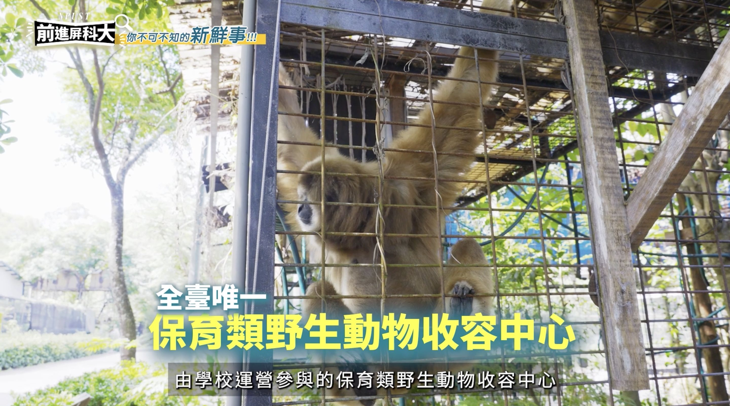 ▲▼屏東,屏東科技大學,農業,獸醫,AI,綠色大學,人才,教育。（圖／翻攝自影片）