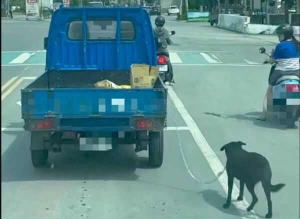 ▲狗狗大熱天遭貨車拉行。（圖／翻攝自爆料公社）
