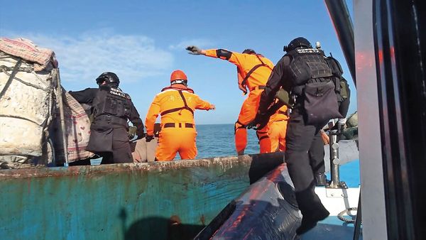 金門周邊海域執法巡查，由海巡署擔綱重責，但面對兩岸協作的非法蚵棚，海巡人員也無法採取強力執法。（海巡署提供）