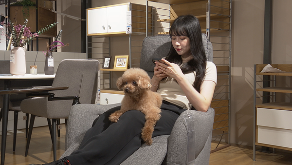 ▲▼宜得利,電動沙發,N-BELIEVA,LE01。（圖／記者姜國輝攝）