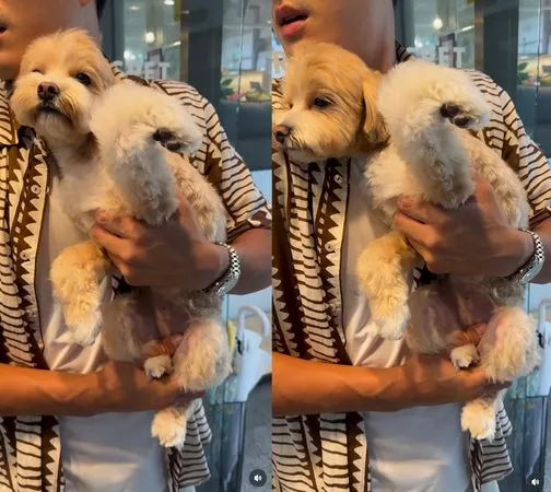 ▲韓藝瑟。（圖／翻攝自Instagram）