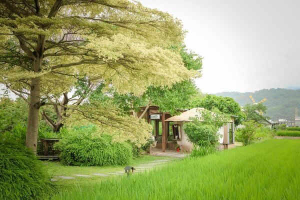▲▼食茶屋。（圖／部落客黑皮的旅遊筆記授權提供）