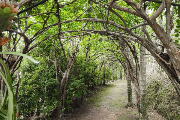 ▲▼仙徠山莊景觀餐廳。（圖／部落客黑皮的旅遊筆記授權提供）